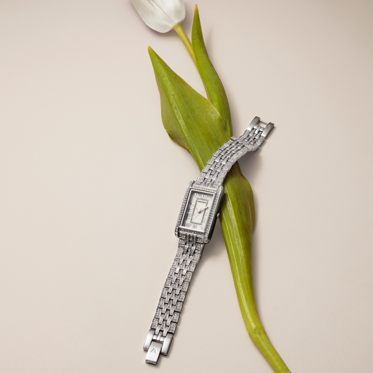 Taylor™ | 20mm, Silver-Women-Armitron